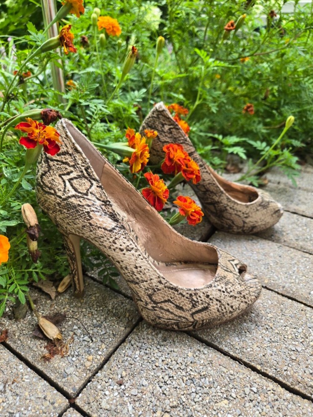 BCBGeneration Snakeskin Peep Toe Pumps Heels Python Print Animal Punk New size 7